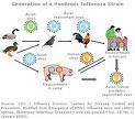 Siklus Flu Babi